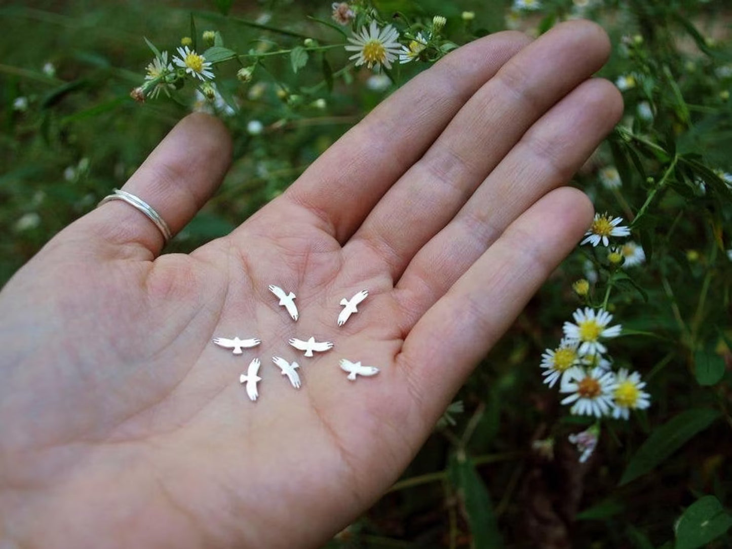 Tiny Bird Studs