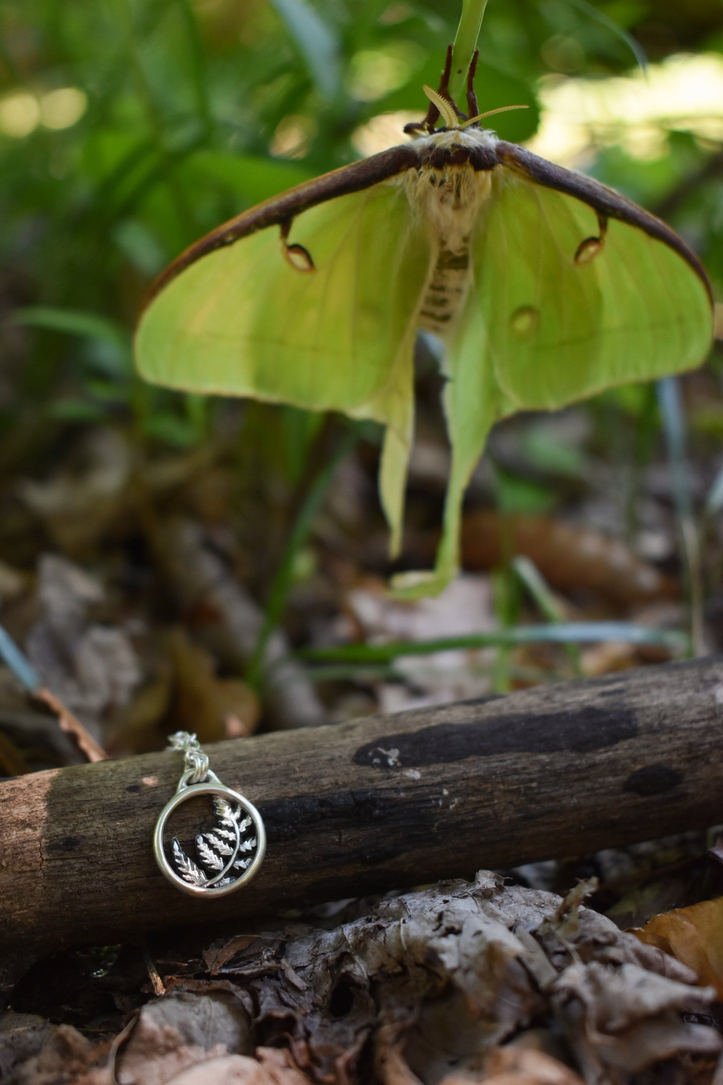 Fern Charm Necklace